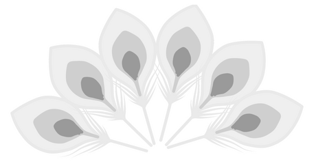 Transparency: The Fashion Exposé